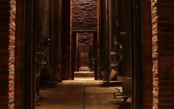 Cantina Az. Vinicola Castellani - Peccioli