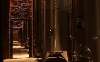 Cantina Az. Vinicola Castellani - Peccioli