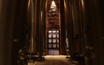 Cantina Az. Vinicola Castellani - Peccioli