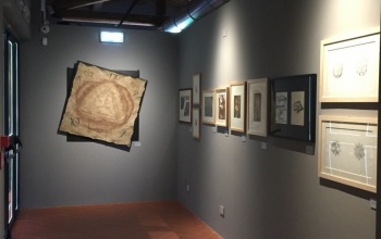 Museo Leonardo ed il Rinascimento del  Vino -  Vinci